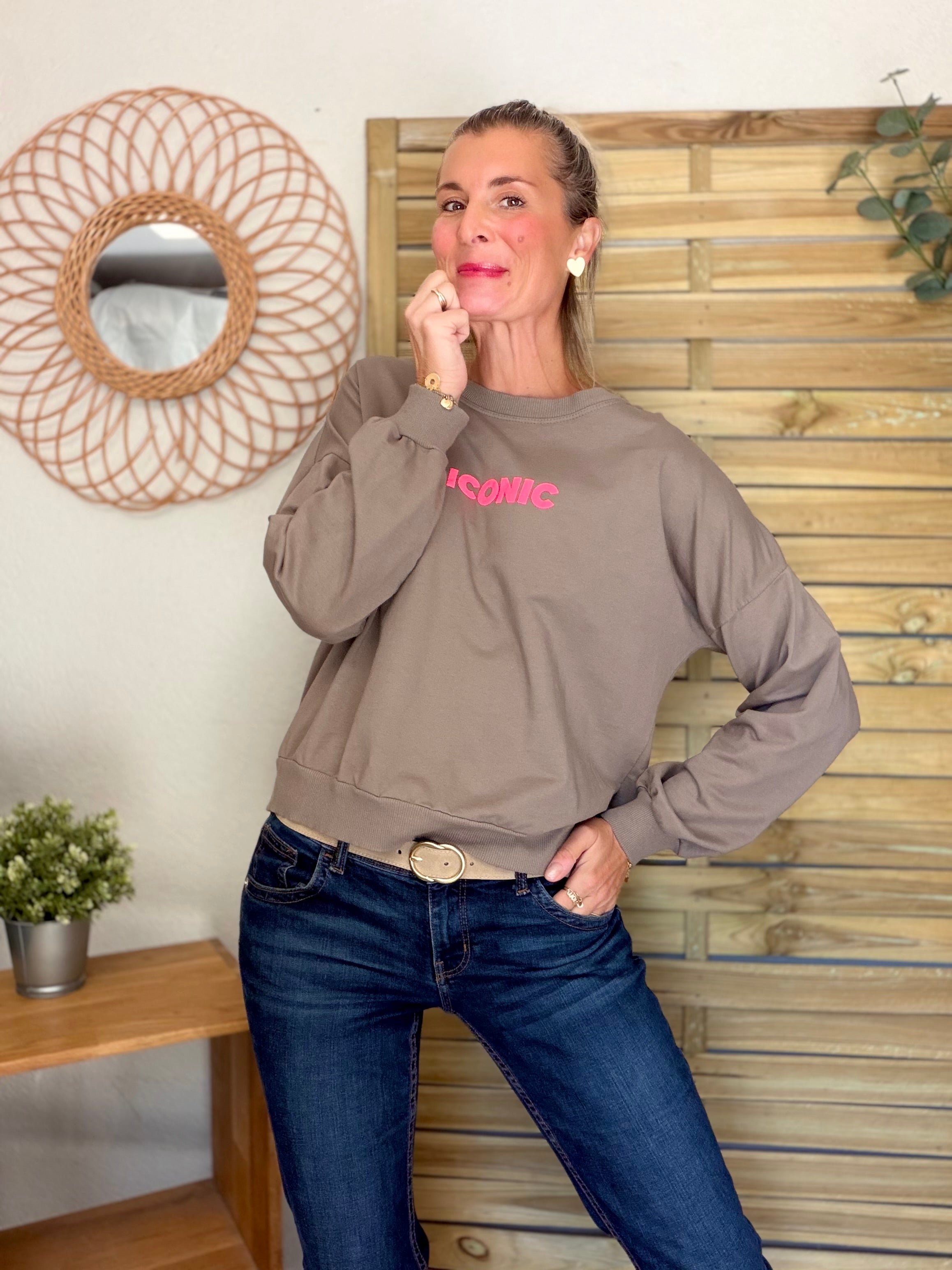 Sweat ICONIC léger 100% coton FAUSTINE Taupe (taille 36 à 46)