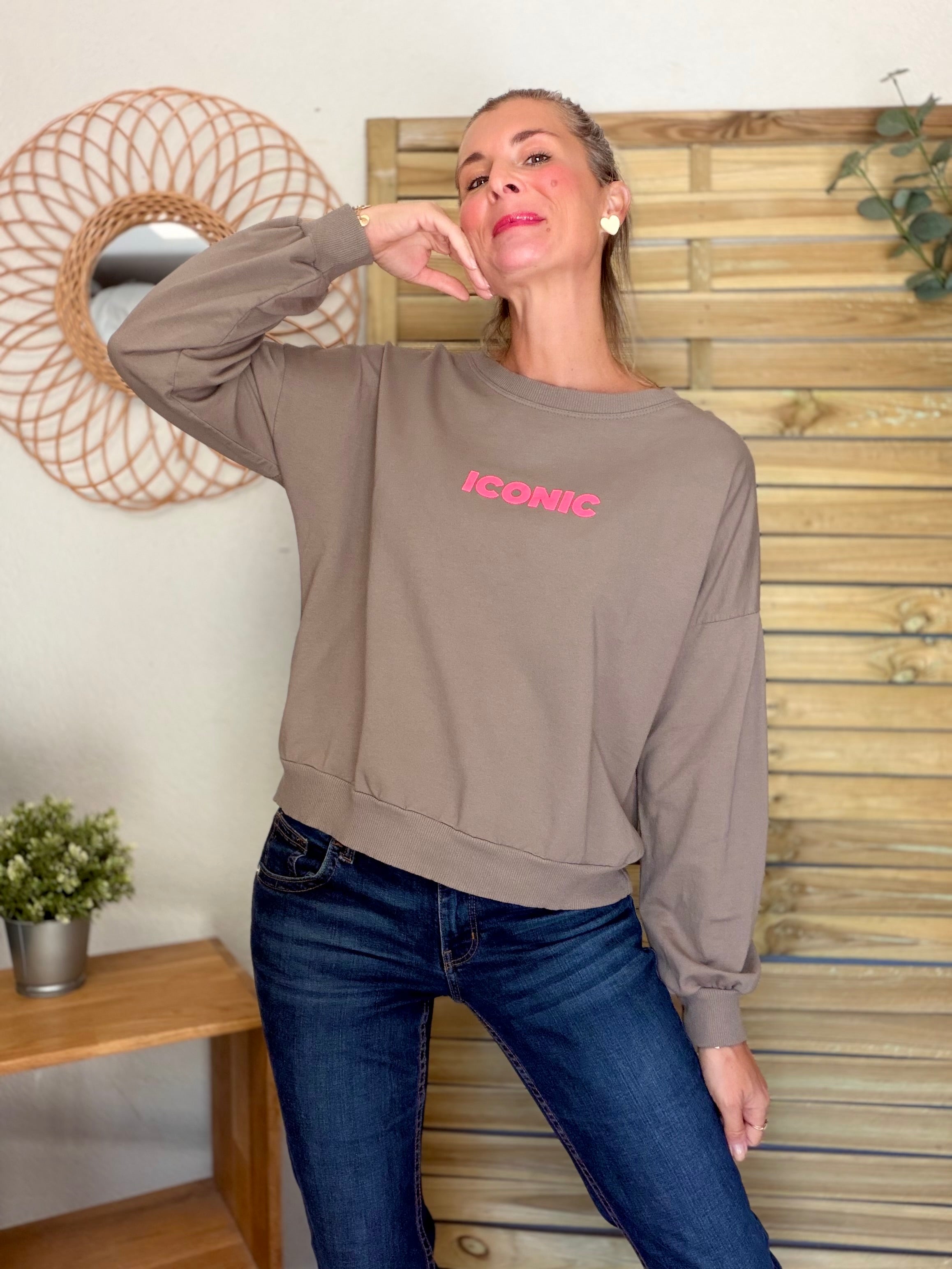 Sweat ICONIC léger 100% coton FAUSTINE Taupe (taille 36 à 46)