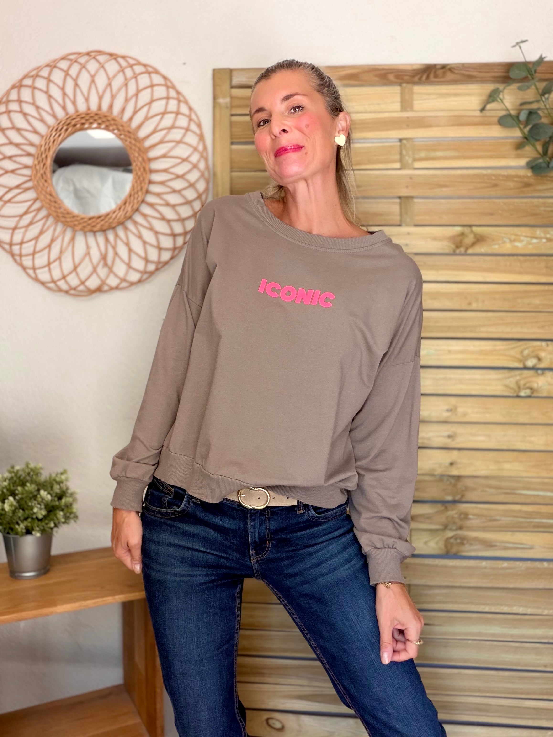 Sweat ICONIC léger 100% coton FAUSTINE Taupe (taille 36 à 46)