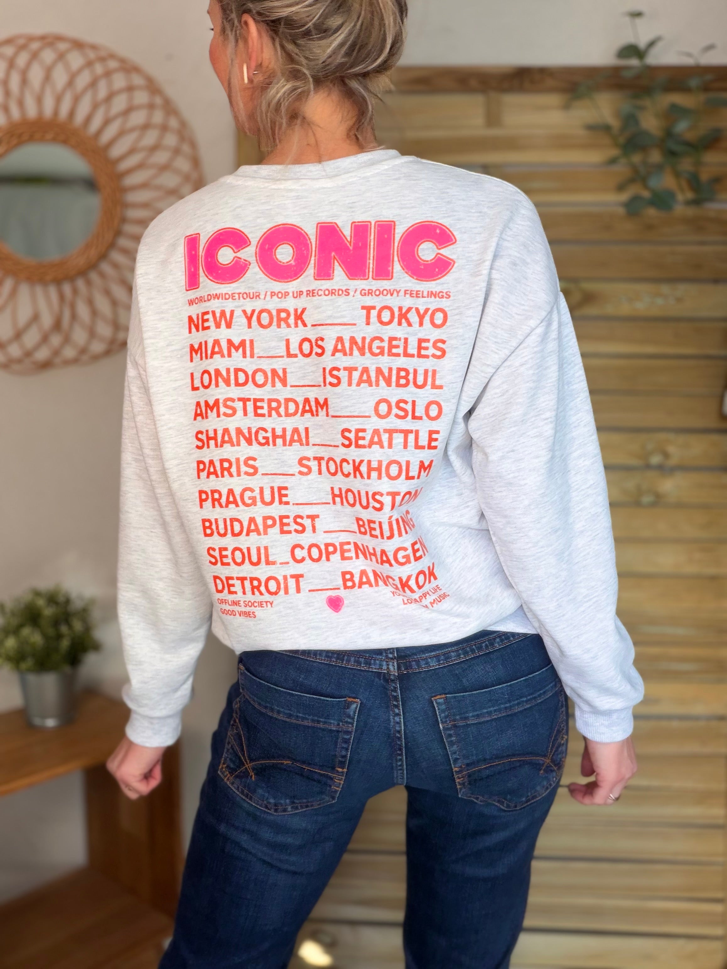 Sweat ICONIC COLINE - Gris