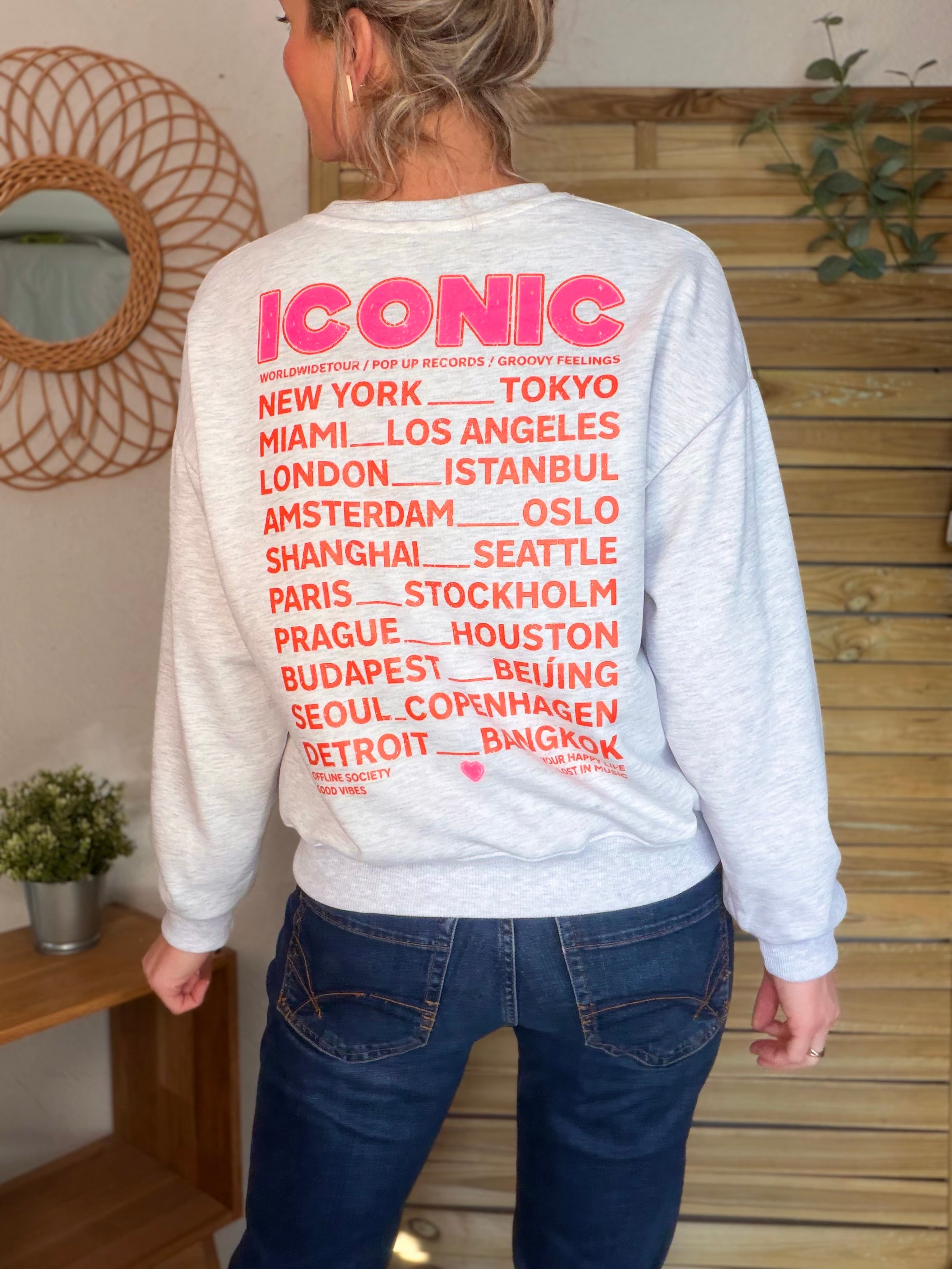 Sweat ICONIC COLINE - Gris