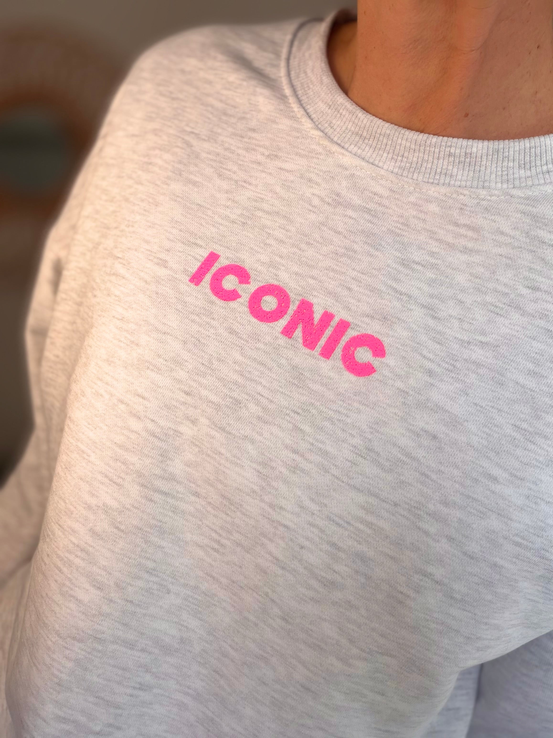 Sweat ICONIC COLINE - Gris