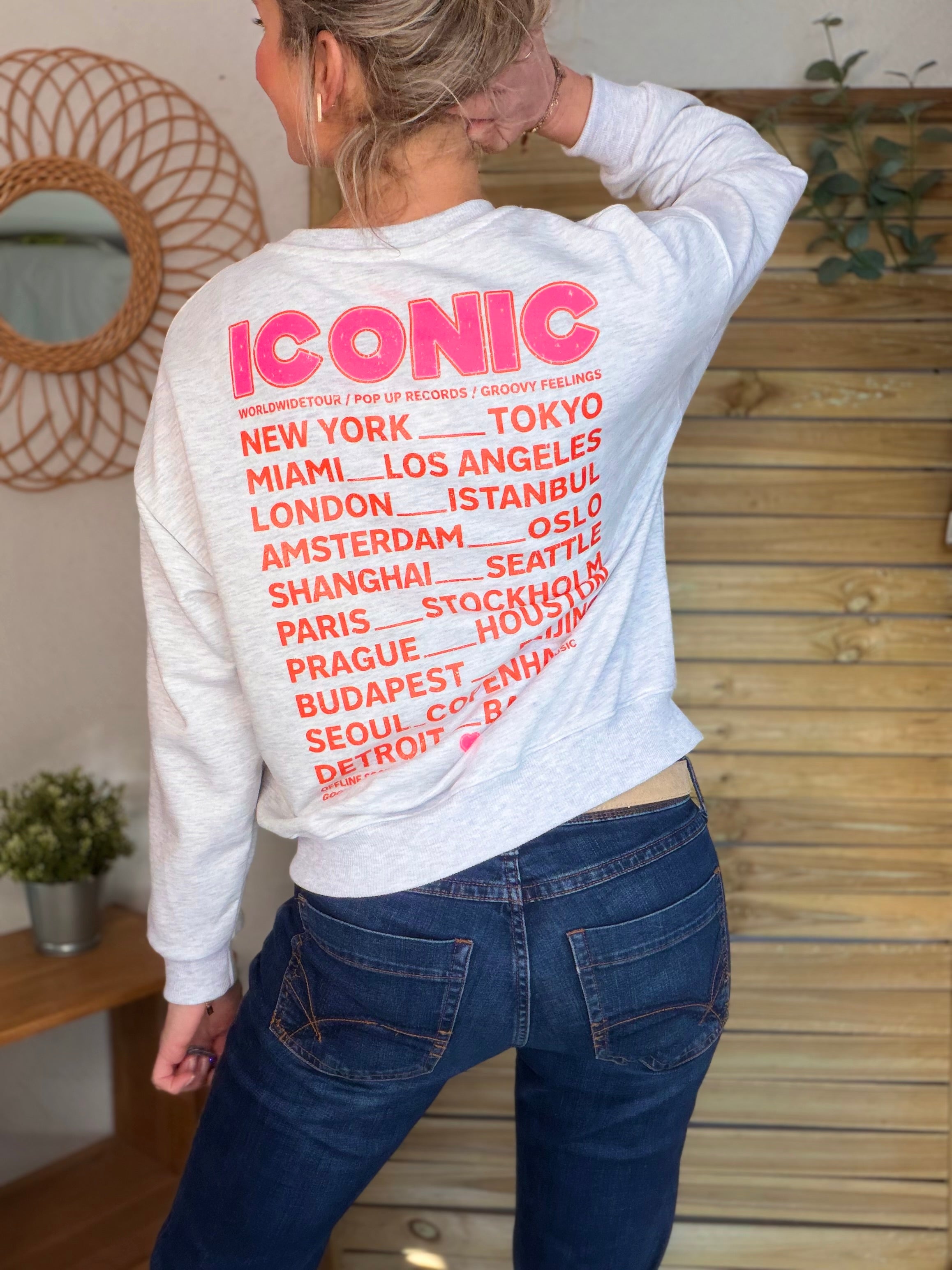 Sweat ICONIC COLINE - Gris