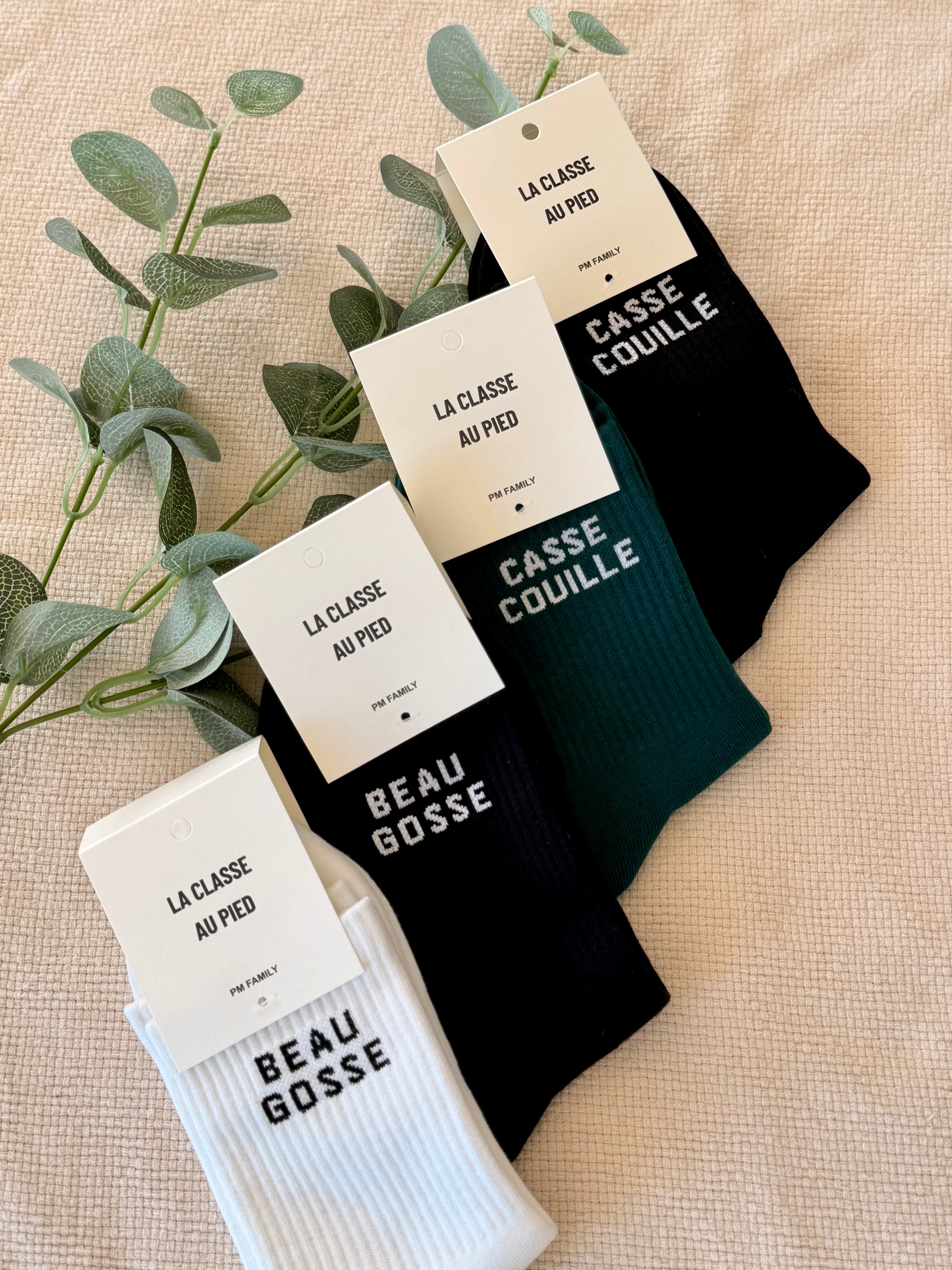 Chaussettes à message LA CLASSE AU PIED - ZACK