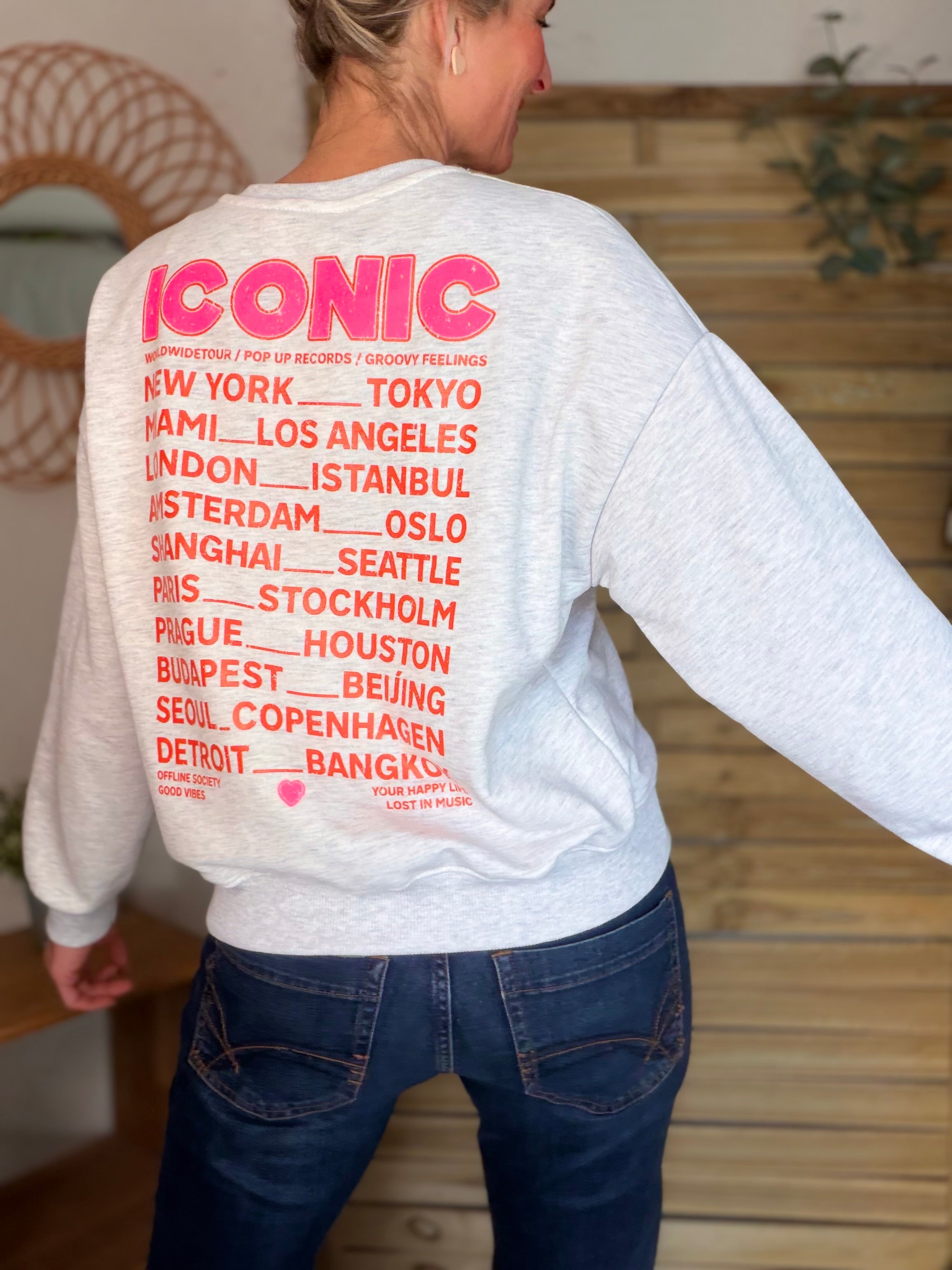 Sweat ICONIC COLINE - Gris